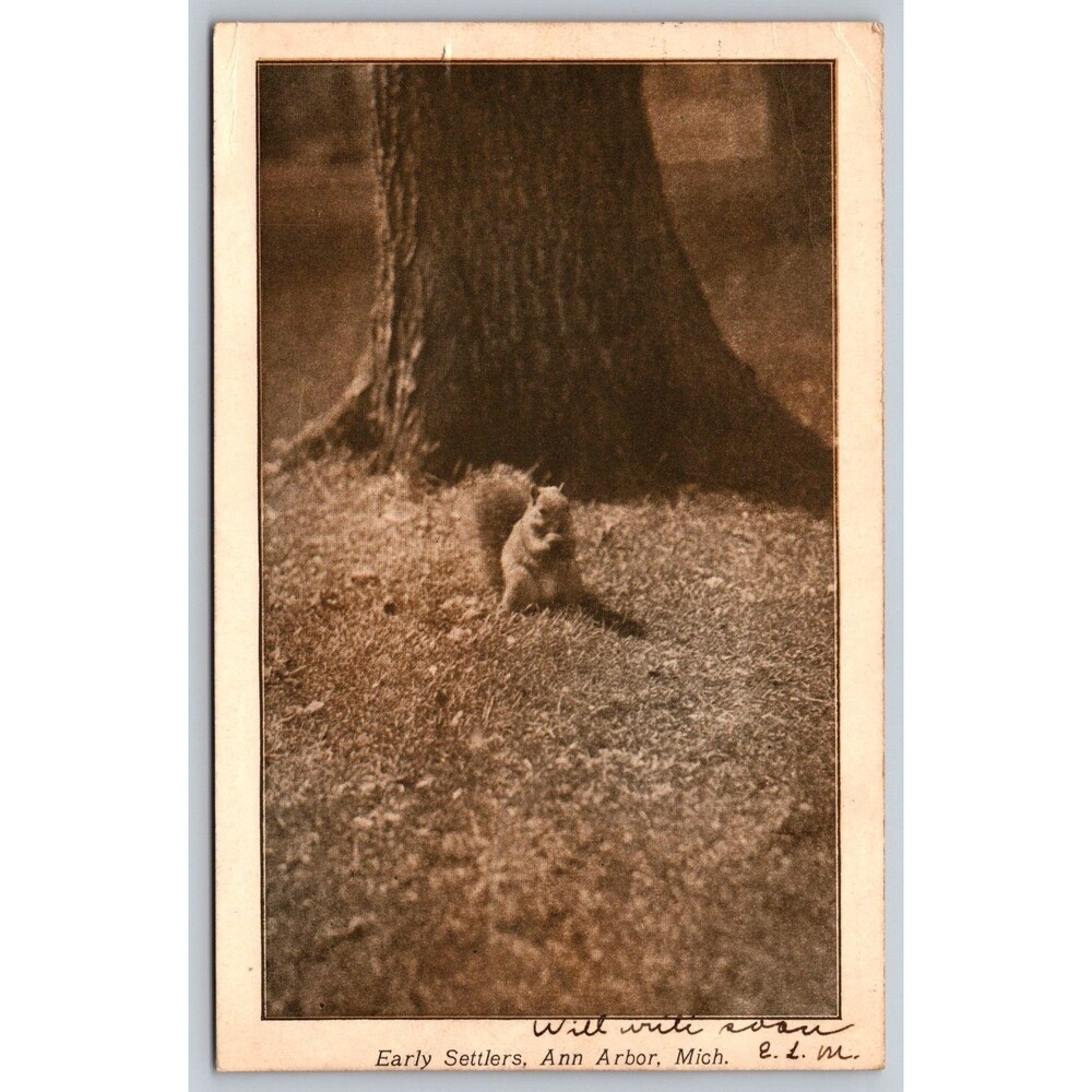 1907 Ann Arbor Michigan Postcard "Early Settlers" Squirrel George Wahr Publisher